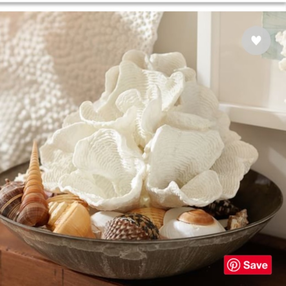 Pottery Barn White Wave Coral